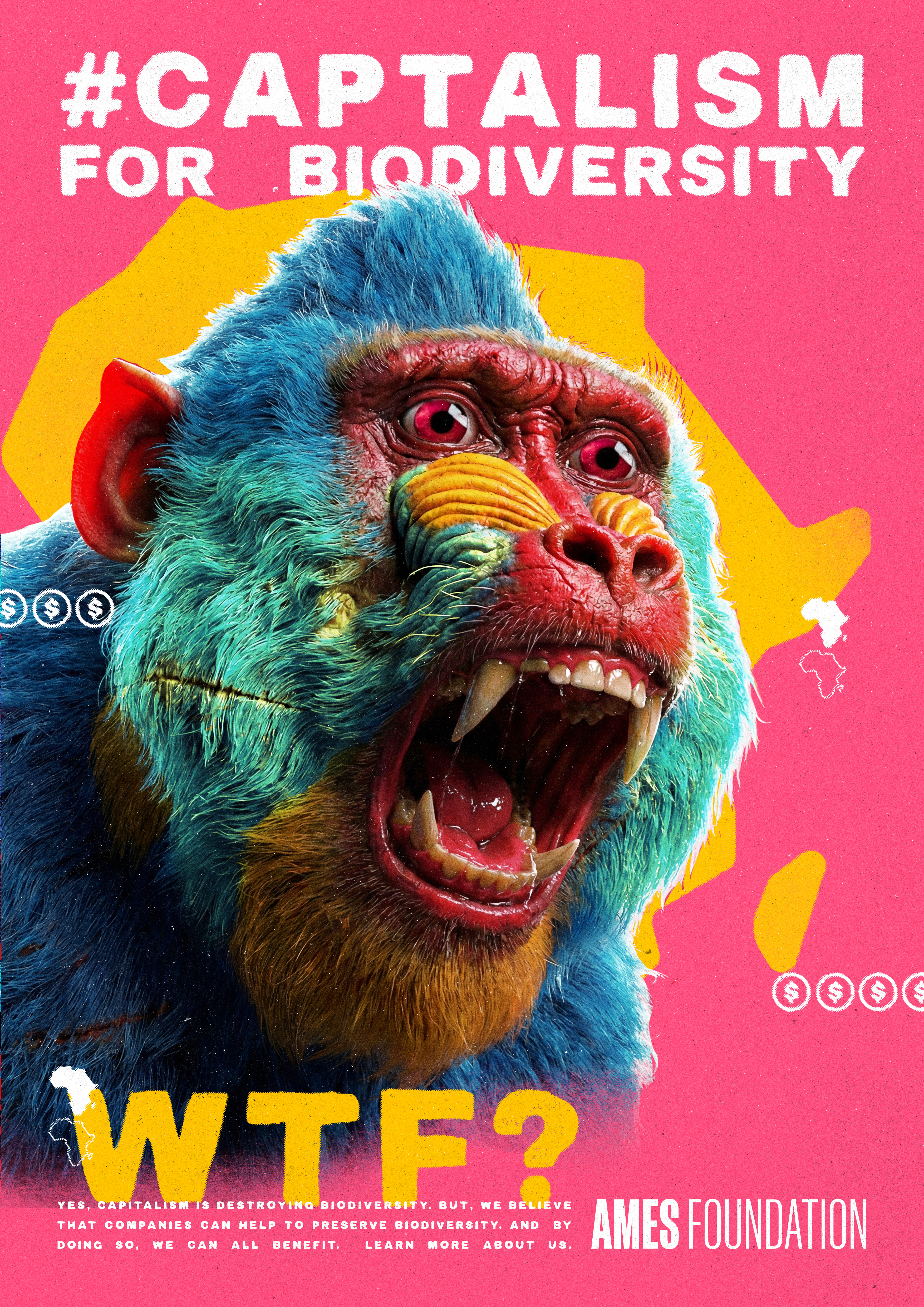 05_Mandrill