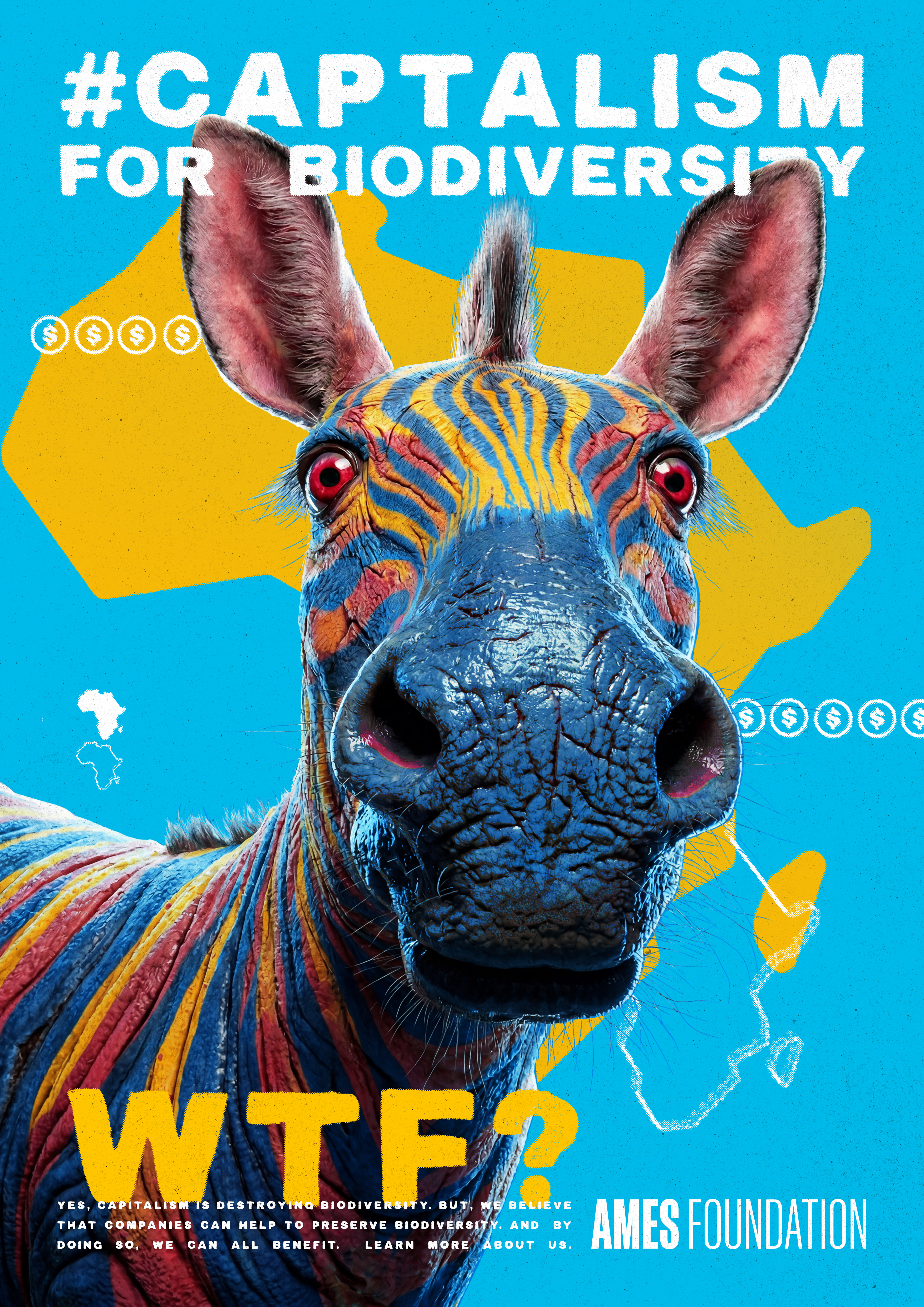 06_Zebra
